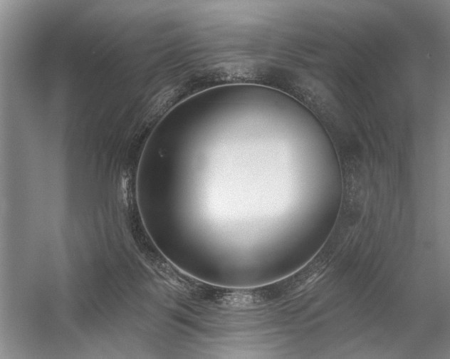 X0000059060123200510071052