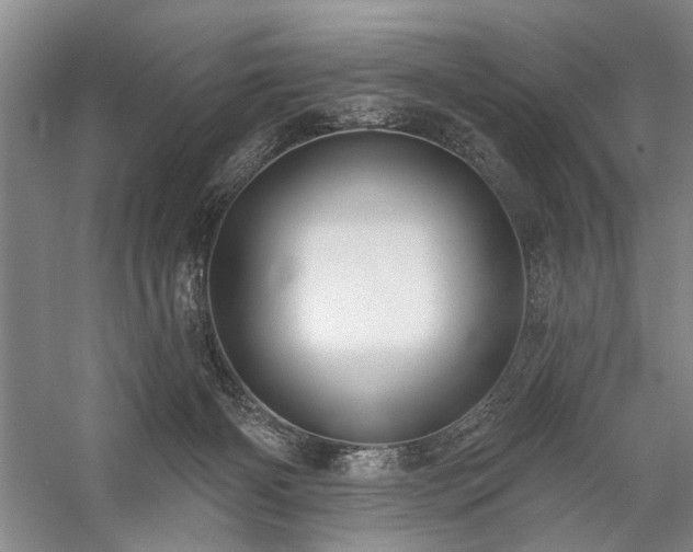 X0000059060126200510071052