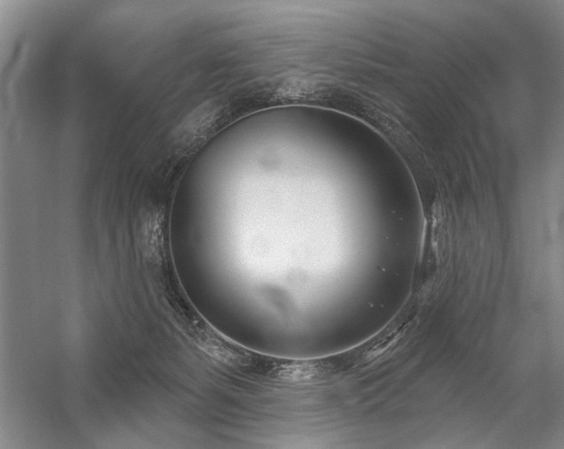 X0000059060127200510071052