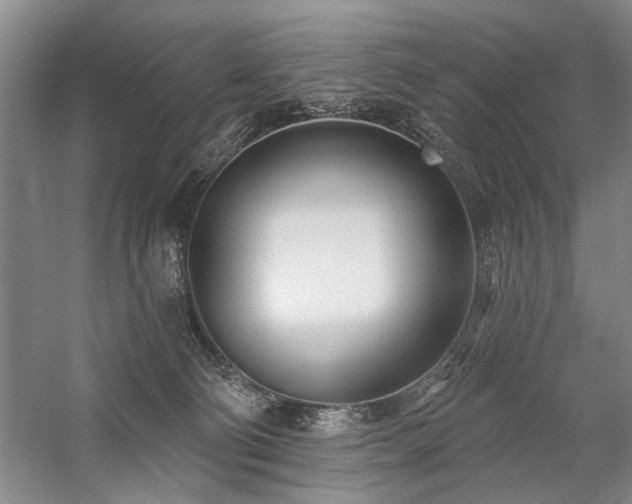 X0000059060130200510071052