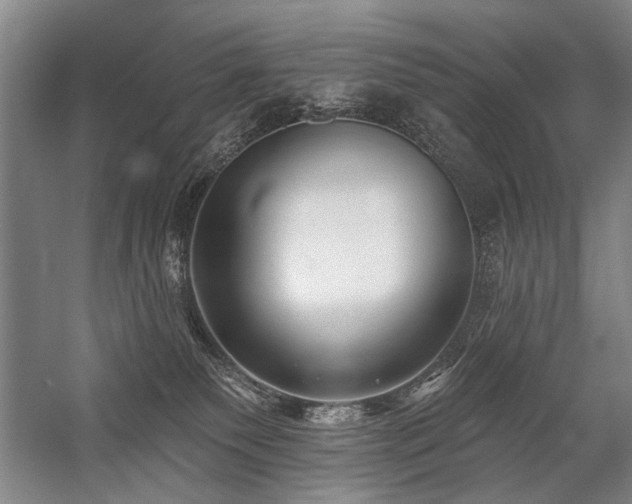 X0000059060135200510071052