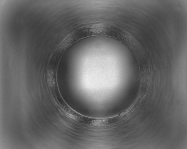 X0000059060136200510071052