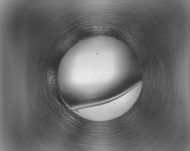 X0000059060137200510071052