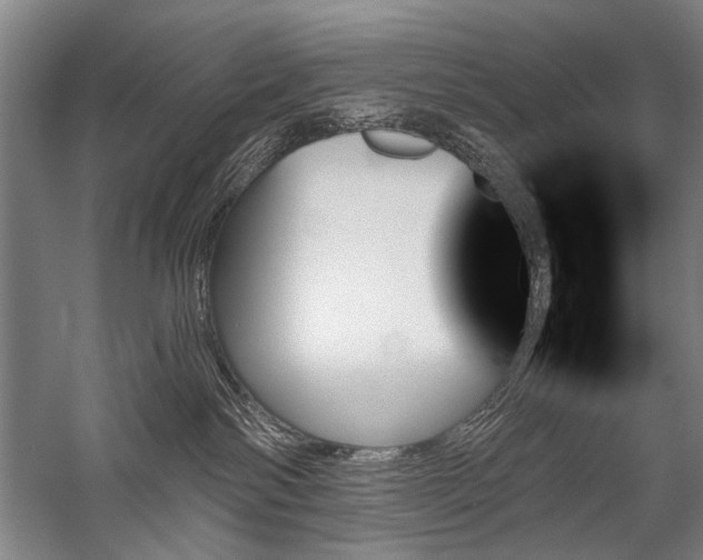 X0000059060138200510071052