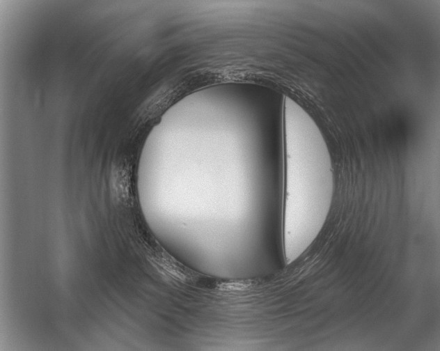 X0000059060139200510071052