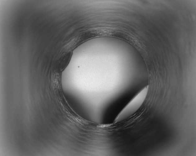 X0000059060141200510071052