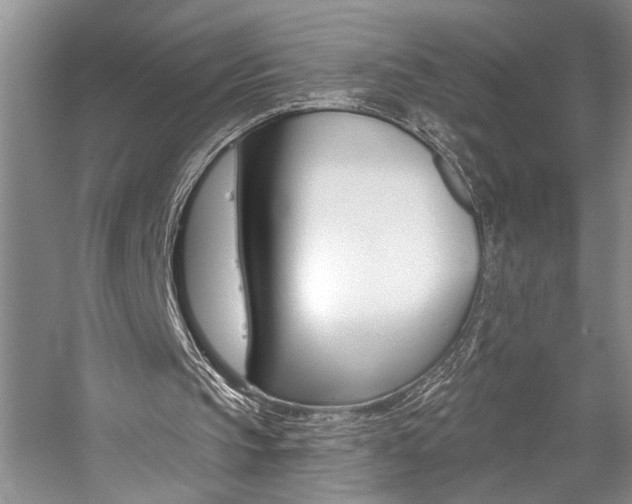 X0000059060145200510071051