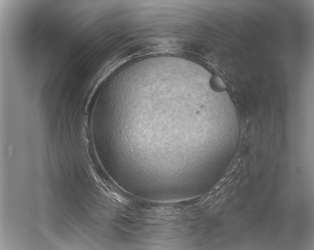 X0000059060146200510071051