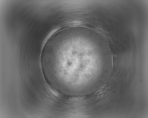 X0000059060147200510071051