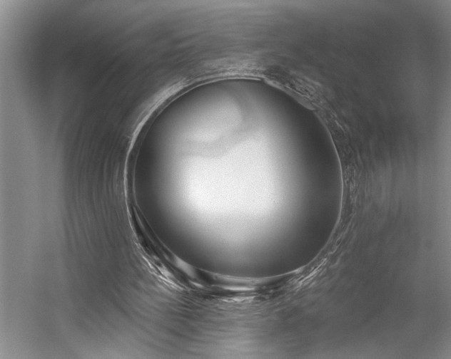 X0000059060148200510071051