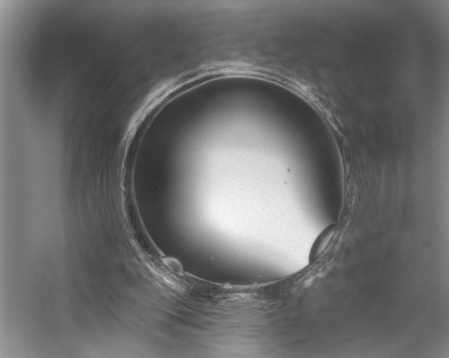 X0000059060151200510071051