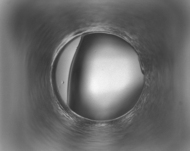 X0000059060152200510071051