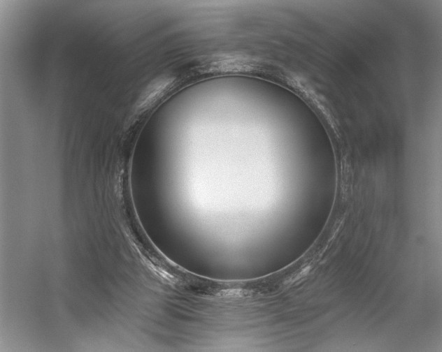 X0000059060153200510071051