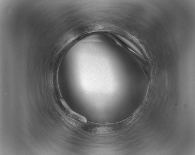 X0000059060154200510071051