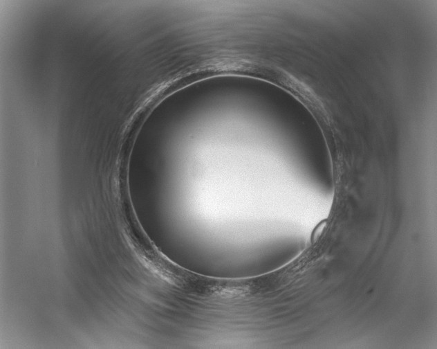 X0000059060155200510071051