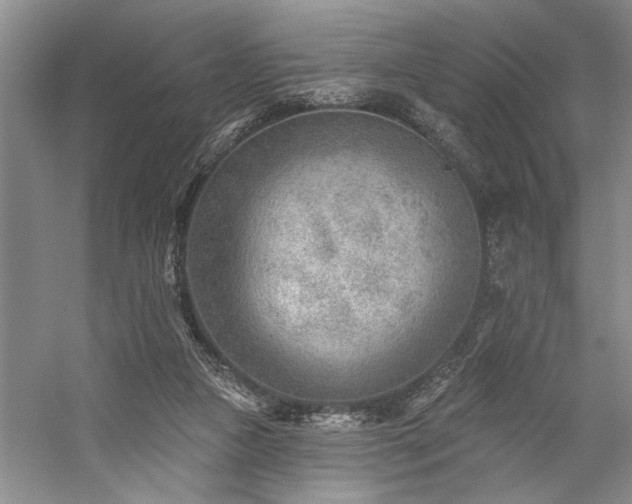 X0000059060161200510071051