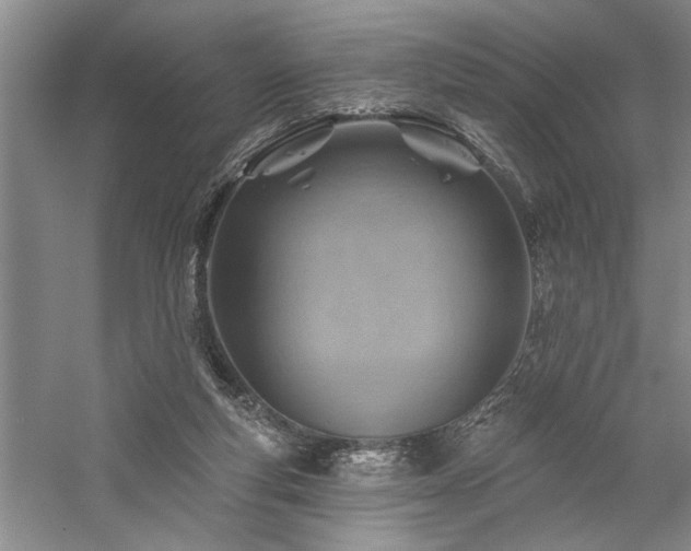 X0000059060163200510071051