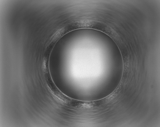 X0000059060166200510071051