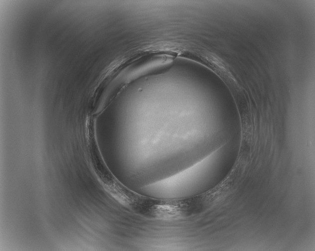 X0000059060167200510071051