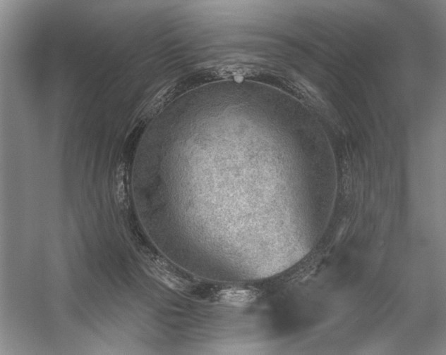 X0000059060169200510071051