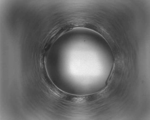 X0000059060170200510071051