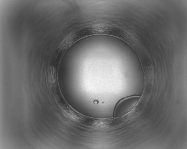 X0000059060174200510071051