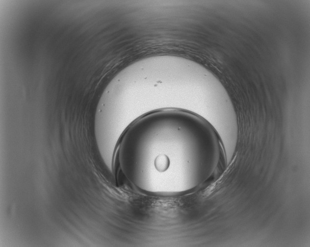 X0000059060175200510071051