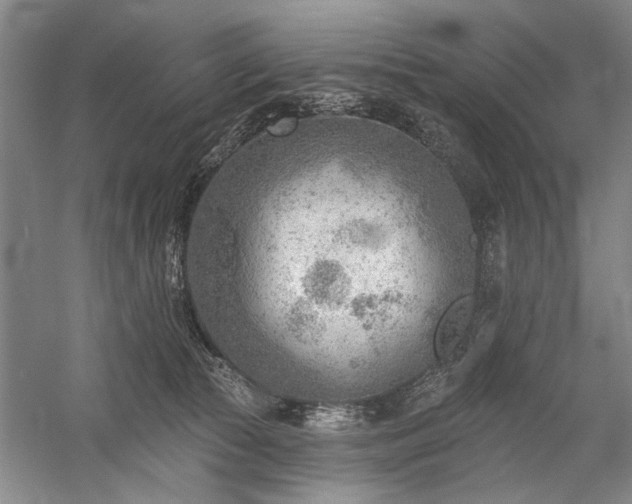 X0000059060177200510071051