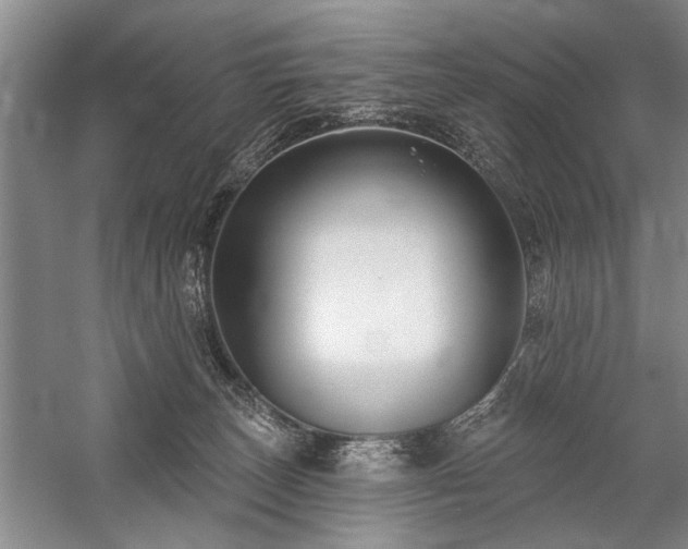 X0000059060179200510071051