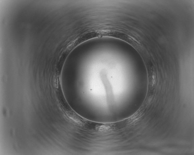 X0000059060180200510071051