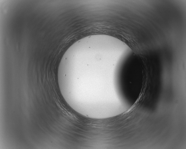 X0000059060187200510071052