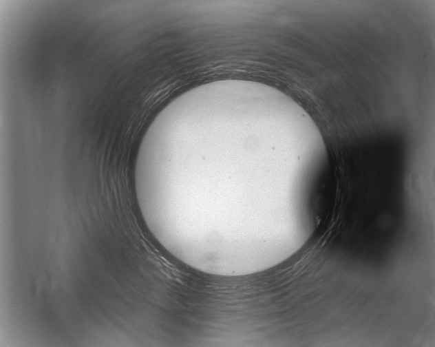 X0000059060189200510071052