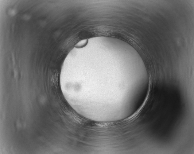 X0000059060190200510071052