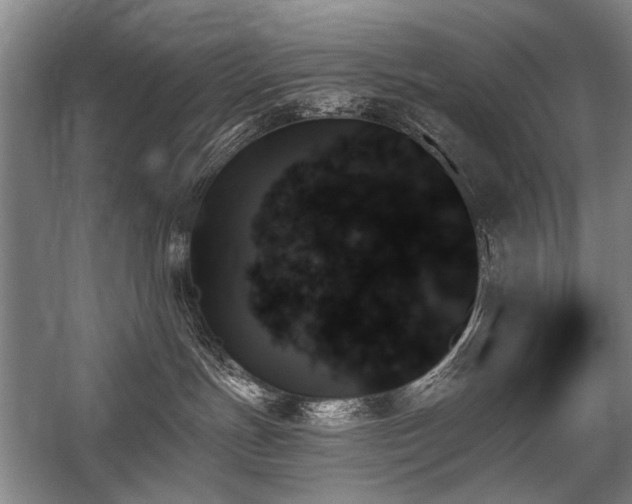 X0000059060191200510071052