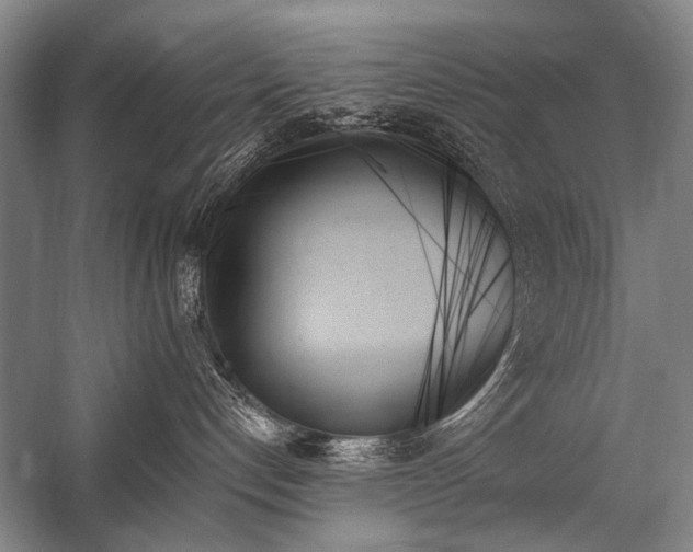 X0000059060192200510071052