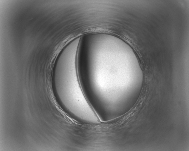 X0000059060193200510071051