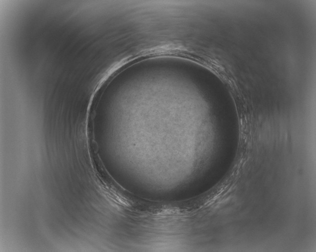 X0000059060196200510071051