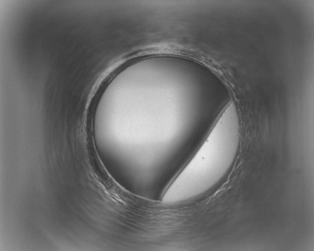 X0000059060200200510071051