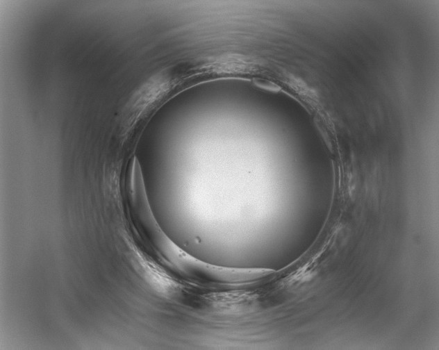 X0000059060201200510071051