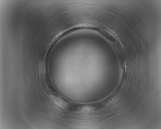 X0000059060204200510071051