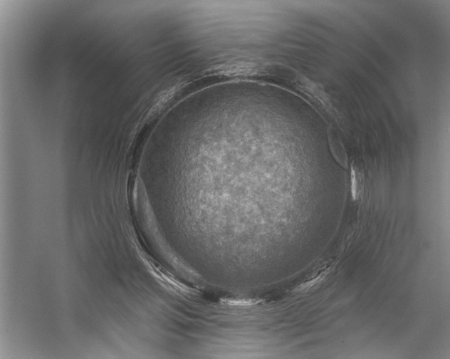 X0000059060205200510071051