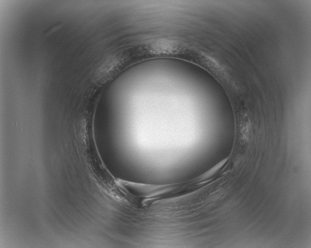 X0000059060211200510071051