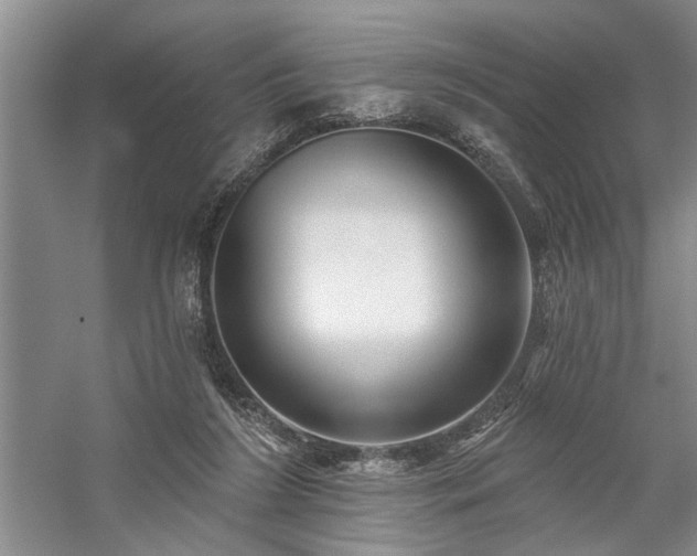 X0000059060212200510071050