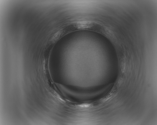 X0000059060219200510071050