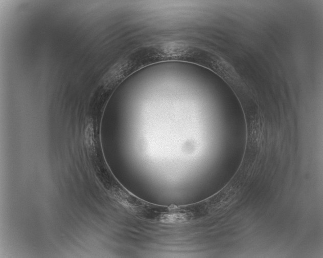 X0000059060220200510071050