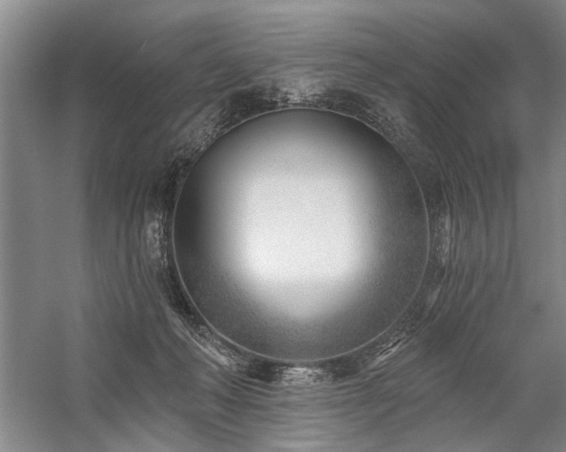 X0000059060222200510071050