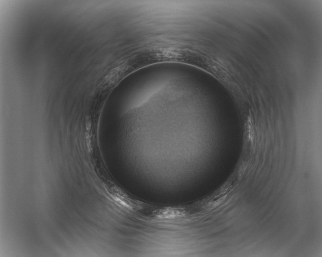 X0000059060223200510071050