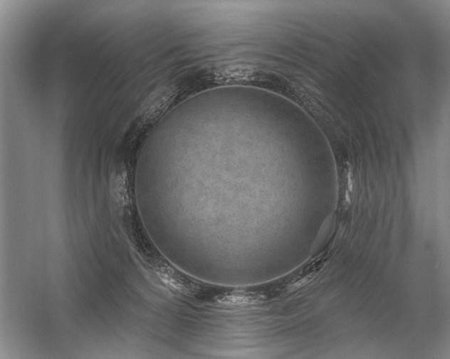 X0000059060224200510071050