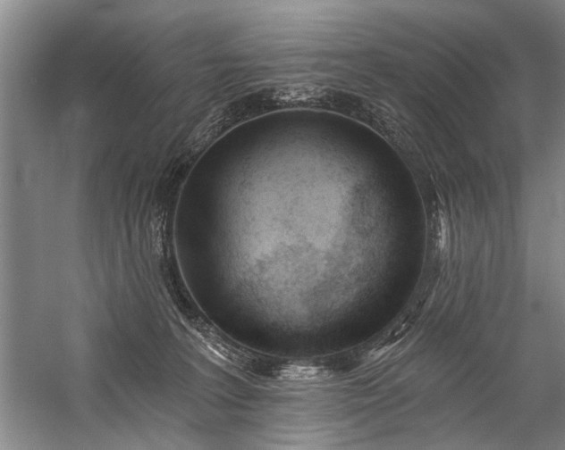 X0000059060227200510071050