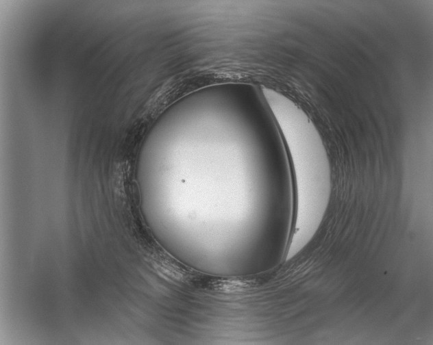 X0000059060229200510071050